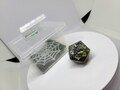 Pet Spiders and Beetles! - Set of 7 Gaming Dice