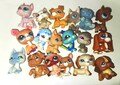 Authentic Littlest Pet Shop PICK A PET